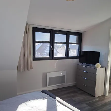 Appartement 3 Pieces Tout Confort, Aux Portes De Colmar Andolsheim Exterior photo