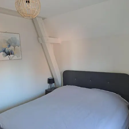 Appartement 3 Pieces Tout Confort, Aux Portes De Colmar Andolsheim Exterior photo