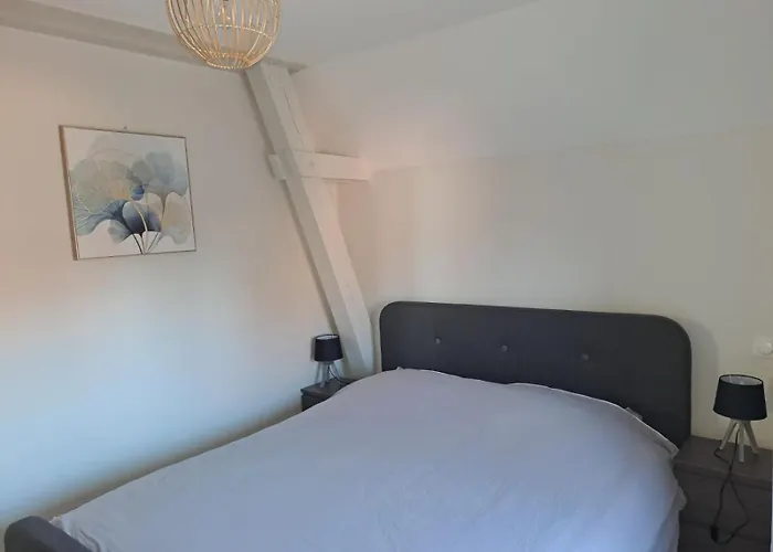 Appartement 3 Pieces Tout Confort, Aux Portes De Colmar