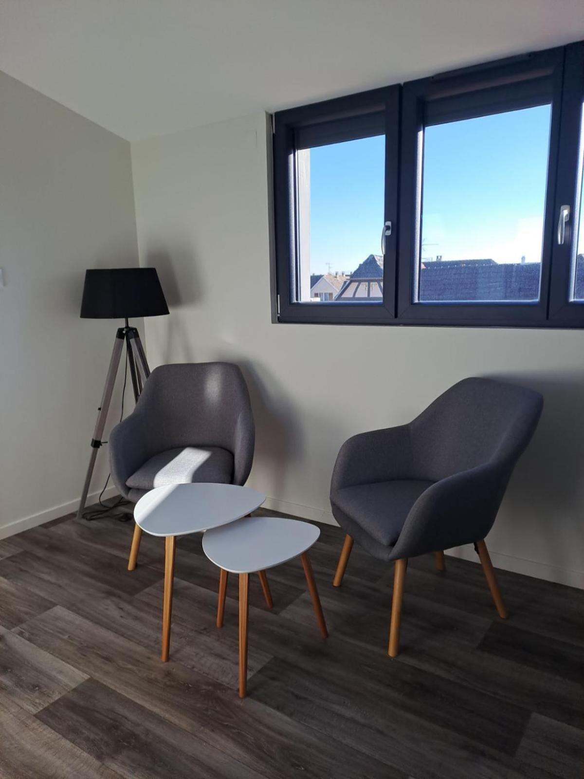 Apartment 3 Pieces Confort, Aux Portes De Colmar
